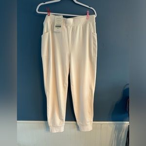 Fabletics on the go cold weather joggers.